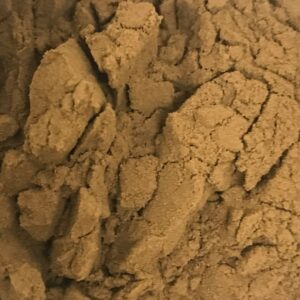 Sargassum Seaweed 25:1 Extract Powder