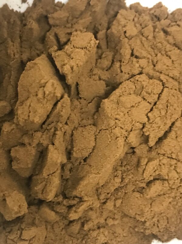 Sargassum Seaweed 25:1 Extract Powder