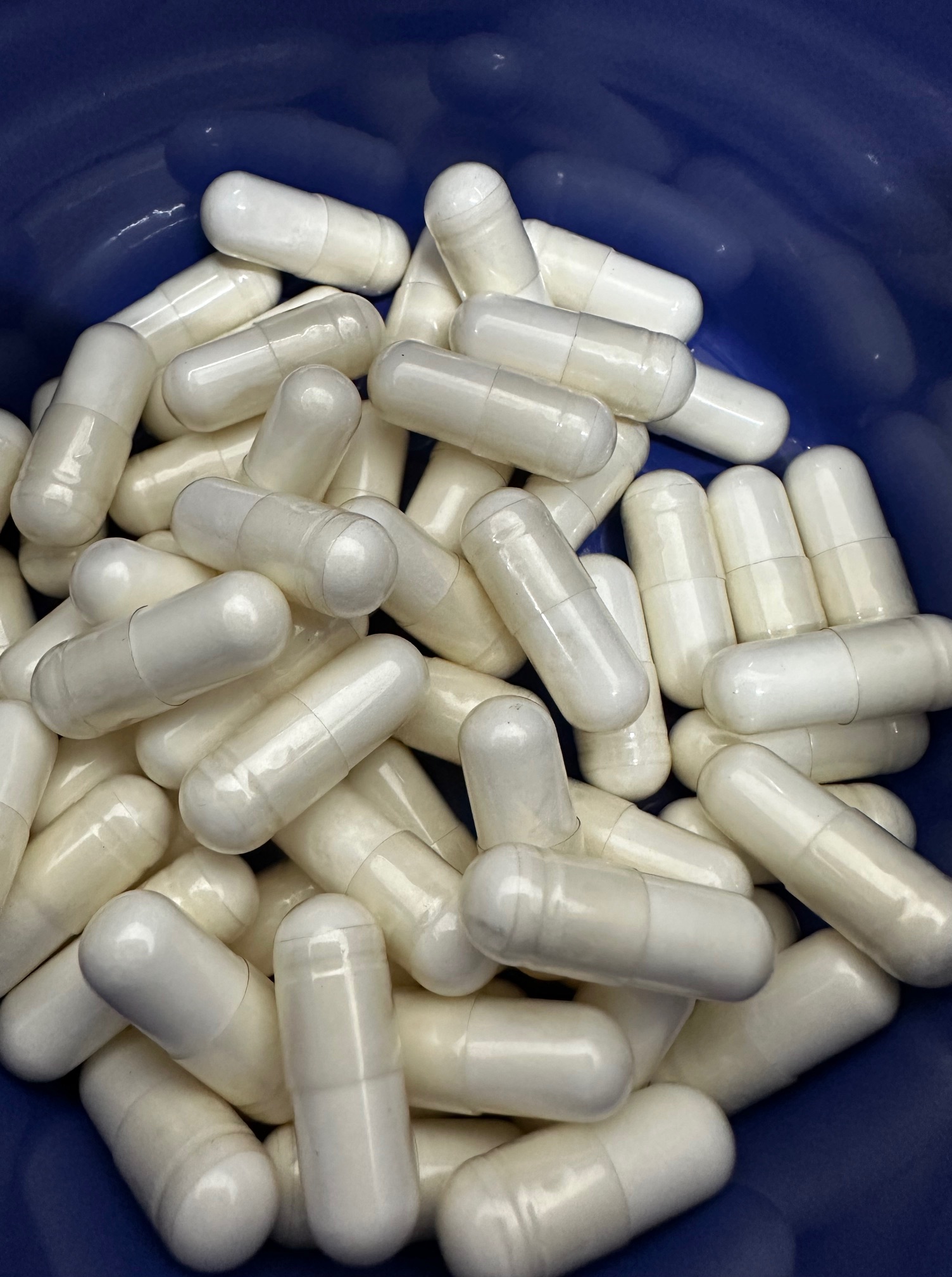 L-Theanine Veggie Capsules. 500gm